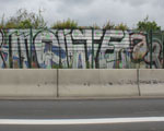 MONTE