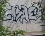 MSAE