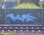 MSAE