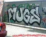 MUGS