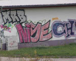 NiSE