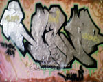 NIWO