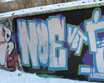 NOE