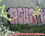NOUS