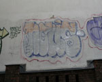 NOUS