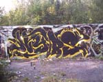 NYBS