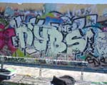 NYBS