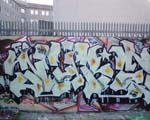 NYBS