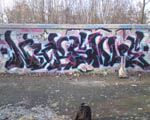 NYBS