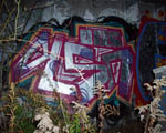 OlSN