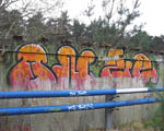 ONZE