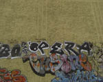 OPERA