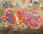 OPUS