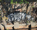 ORAK