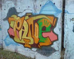 PANE