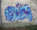 PANE
