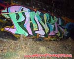 PANIK