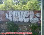 PAVEL