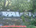 PAVEL