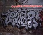 PAVEL