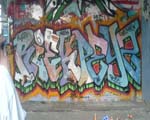 RIEK / PEYZ