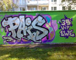 PAiS