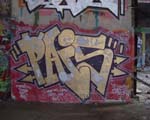 PAIS