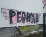 PEGASUS