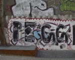 PEGASUS