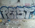 PEiST