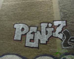 PENIS