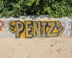PENIS