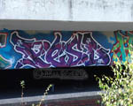 PEST