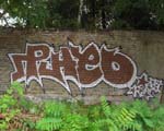 PHEO