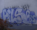 PiLS