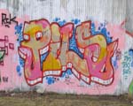 PiLS