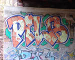 PiLS