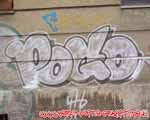POGO