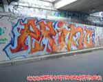 PRINC