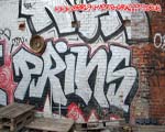 PRINS