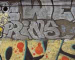 PRINS