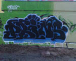 PRINS