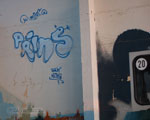 PRINS