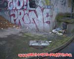 PRINC