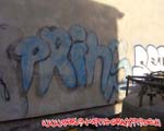 PRINC
