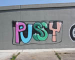 PuSSy