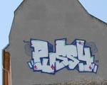 PuSSy