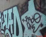 RADO