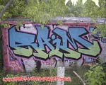 RAIM