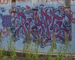 RAPS